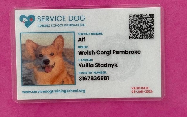 Service dog ID card for Alf